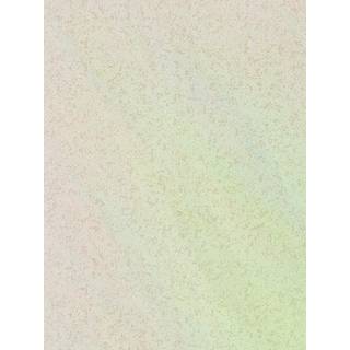Coral Parchment - EREE110763