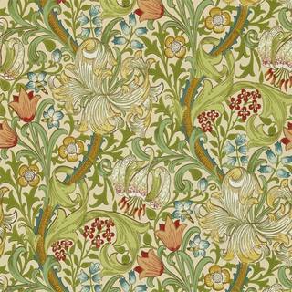 Golden Lily - Pale Biscuit
