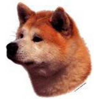 KW AKITA INU RØD OG HVID 8 CM / 4 STK