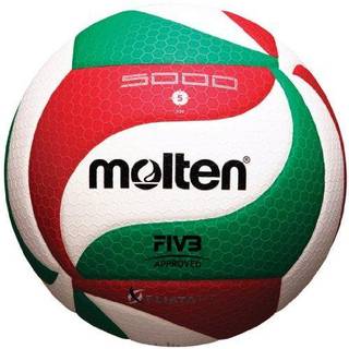 Molten V5M5000 M?nds NCAA Floistatech Volleyball Red/Green/White 1