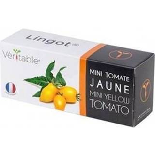Økologisk Mini Gul Tomat, Véritable