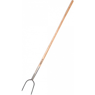 Galax ballefork