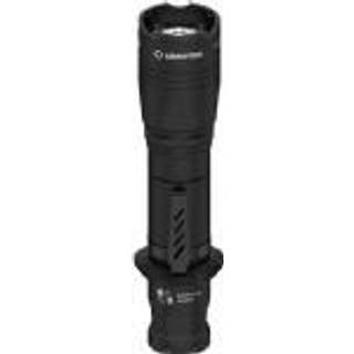 Dobermann Pro Magnet USB Warm