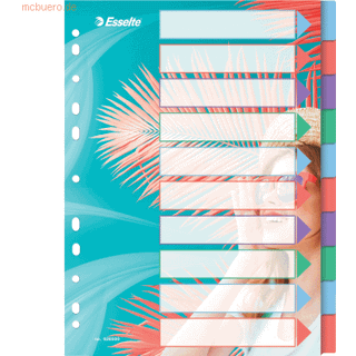 Faneblad Colour'Breeze PP A4 10d, Esselte 628500, 10stk