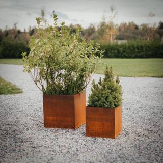 Plantekrukker FIORA - sæt med 2