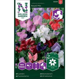 Ærteblomst 'Royal Mix' Big Pack