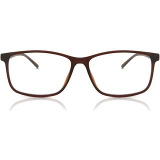 SmartBuy Collection Arnoldclavs CP130C 55 Briller Mænd Brun - Clear Brown - 55mm