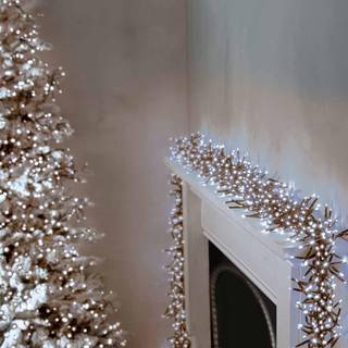 3000 LED 37,2 m Premier Christmas udendørs klynge-timerslys i koldt hvidt lys