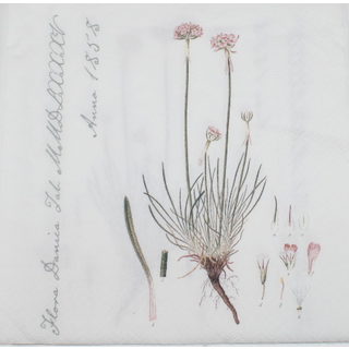 Flora Danica mønstrede servietter 33x33 cm 20-pak (På lager i varehus)