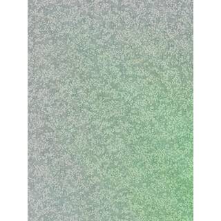Coral - EANV111871