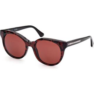 Web Briller Web WE0326 56S 54 Solbriller Kvinder Tortoiseshell - Red Havana - 54mm