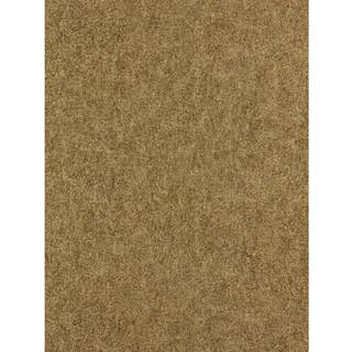 Shagreen - 312904