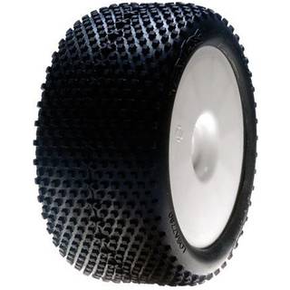 Losi 1/8 xtt truggytireblmntdw/wht whl0 0ffset 2 losa17701b rc dæk