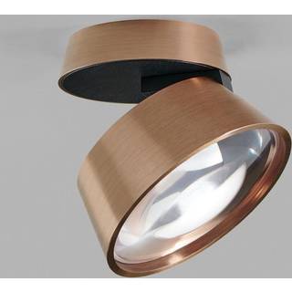 Vantage 1 Rose Gold 8W
