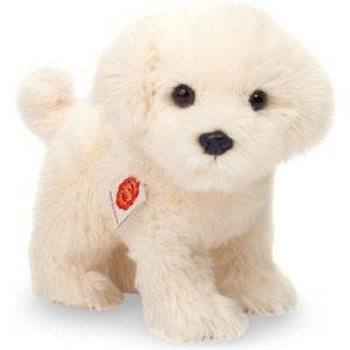Malteser hund bamse Hvid Bichon - ligner ægte Malteser