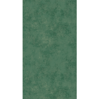Stone Canopee - STNE80837446