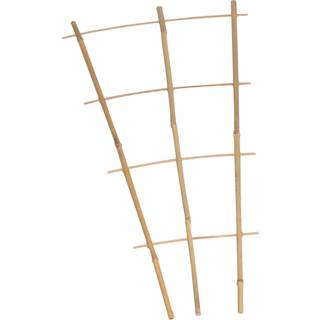 Nelson Garden 5216 Espalier bambus 60 cm