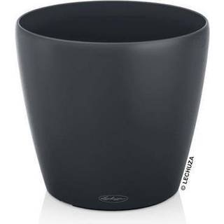 Lechuza Classico Color - Model 70