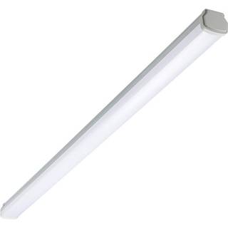 Signify Philips Ledinaire Industriarmatur IP66 WT060C LED 5600lm/840 1500mm