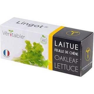 Økologisk Oakleaf Salat, Véritable