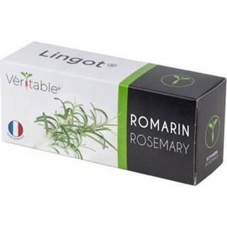 Økologisk Rosmarin, Véritable