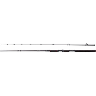 Abu Garcia Beast Pike Spinning Rod -