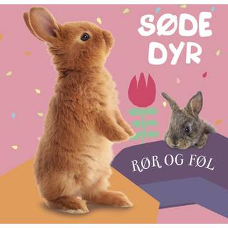 Bog, Rør og føl - Søde dyr