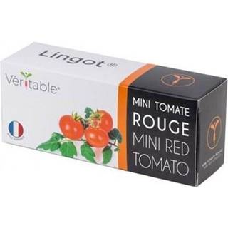 Økologisk Mini Rød Tomat, Véritable