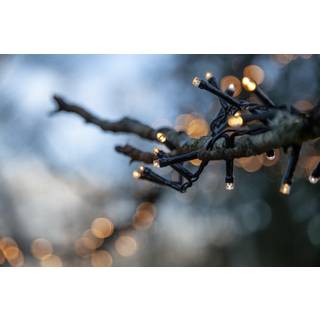 Star Trading - Light Loop Langhy - LED - 800 lyskilder - 1600 cm