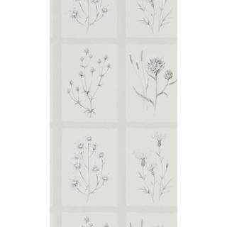 Little Thistles Pewter - DEBB216512