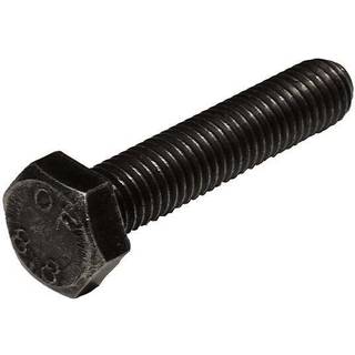 Thule bolt