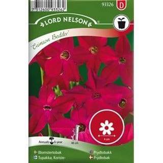 Prydtobak 'Crimson Bedder'