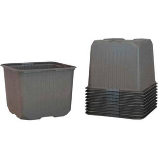Weibulls Dyrkningskrukke 11 cm - 10-pak