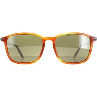 Serengeti Lenwood 8932 57 Solbriller Mænd Tortoiseshell - Shiny Caramel - 57mm