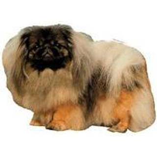 KW PEKINGESER 5.5 CM / 4 STK