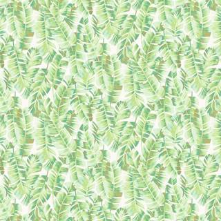 Botanica Folium Vert Feuille - BOTA85947340
