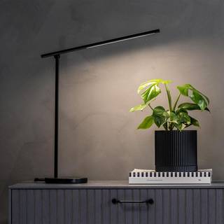 Niila Lamp, Black