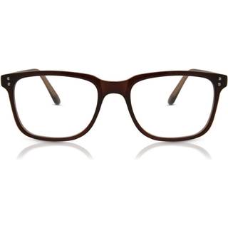 SmartBuy Collection Delilah CP159A 53 Briller Kvinder Brun - Brown - 53mm