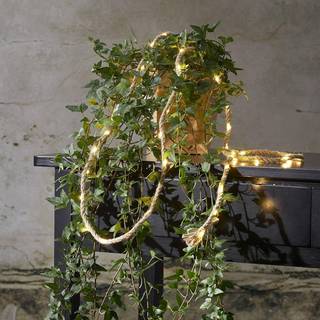 Star Trading - Light Loop Jutta - LED - 40st lyskilder - 200 cm