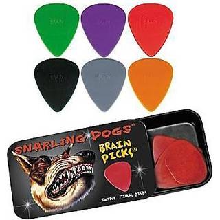 Snarling Dogs Brain TNSDB351 1.14 Guitar Picks 12-Piece Collectible Tin Orange Nylon 0 1.14mm