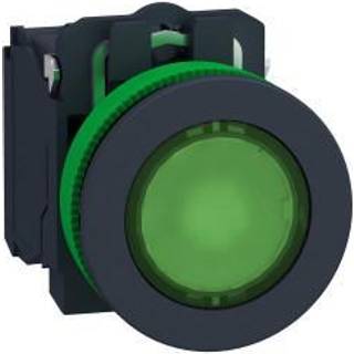 Schneider Lampetryk flush komp grøn led 230v no+nc