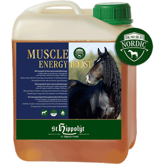 Muscle Energy Boost 2,5 L