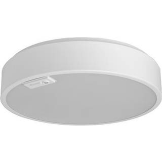 Campus C300 15W Cct Ea Opal Solar