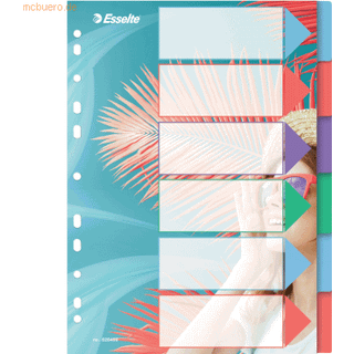 Faneblad Colour'Breeze PP A4 6-d, Esselte 628499, 20stk