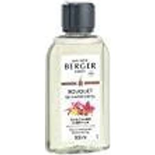 AMBER`S SUN - REFILL TIL DUFTPINDE - MAISON BERGER PARIS - Scented bouquet refill / Duftpinde refill - MAISON BERGER PARIS - StudioBuus