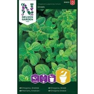 Oregano 'Greek'