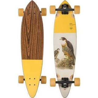 Globe Longboard Pintail Falcon 34
