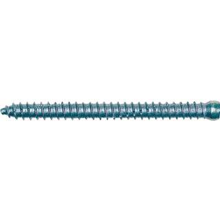 Fischer Karmskrue med cylindrisk hoved FFSZ 7,5x52 TX30 - 100 stk.