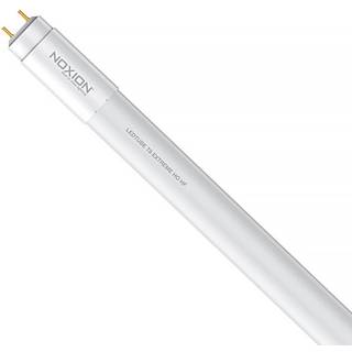 Noxion LED Lysrør T8 Avant Extreme (HF) High Output 20W 3100lm - 840 kold hvid | 150cm - erstatter 58W