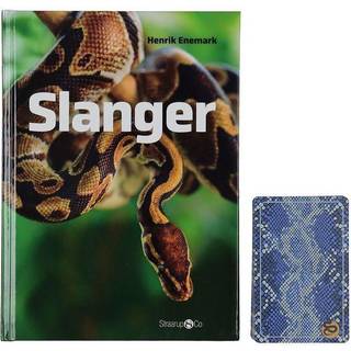Spil og læs: Slanger